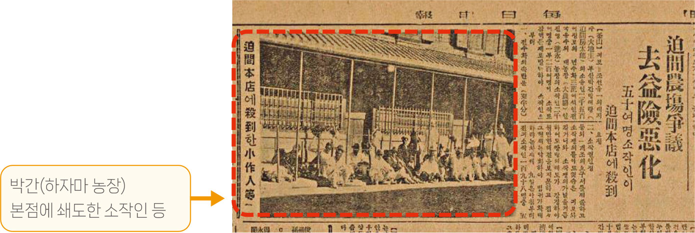 하자마 농장 소작쟁의를 다룬 신문 기사. 『매일신보』(1931.11.12.)